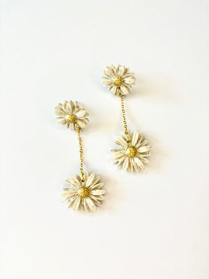 ASTER