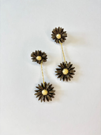 ASTER
